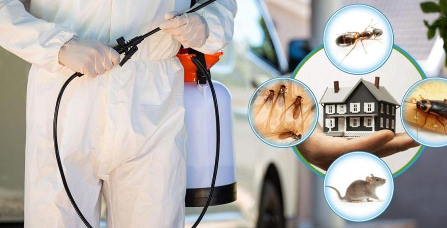 Etimesgut Böcek İlaçlama