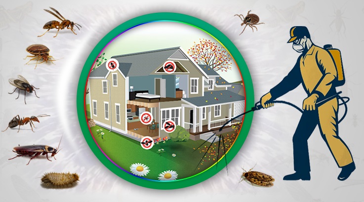 Etimesgut Böcek İlaçlama